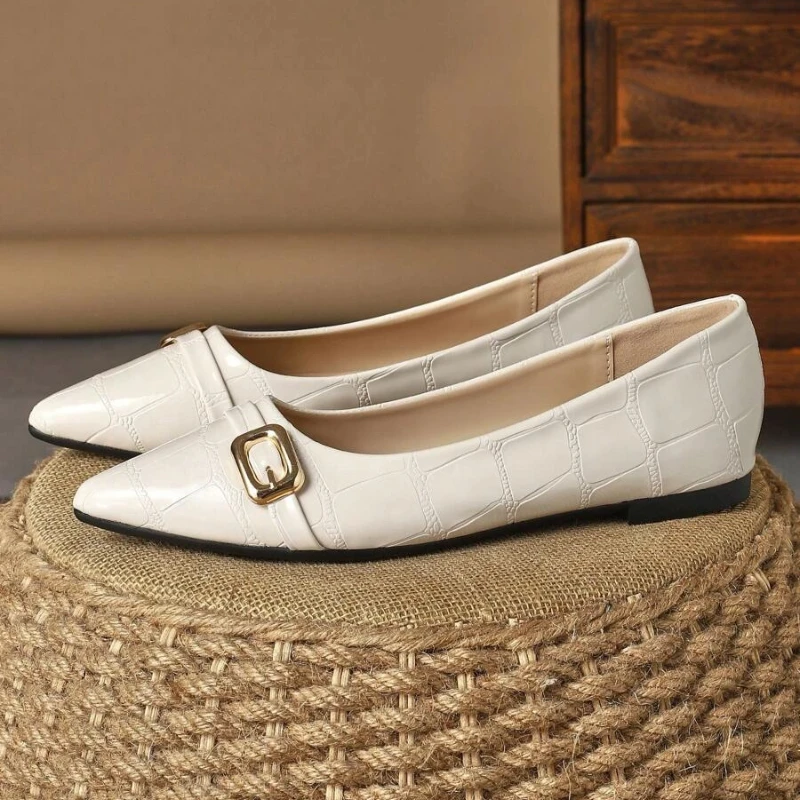 

Women's Pointed Toe Ballet Flats Black Brown Color Casual Comfortable For Parties Daily Wear Outdoor Activities Spring Shoes