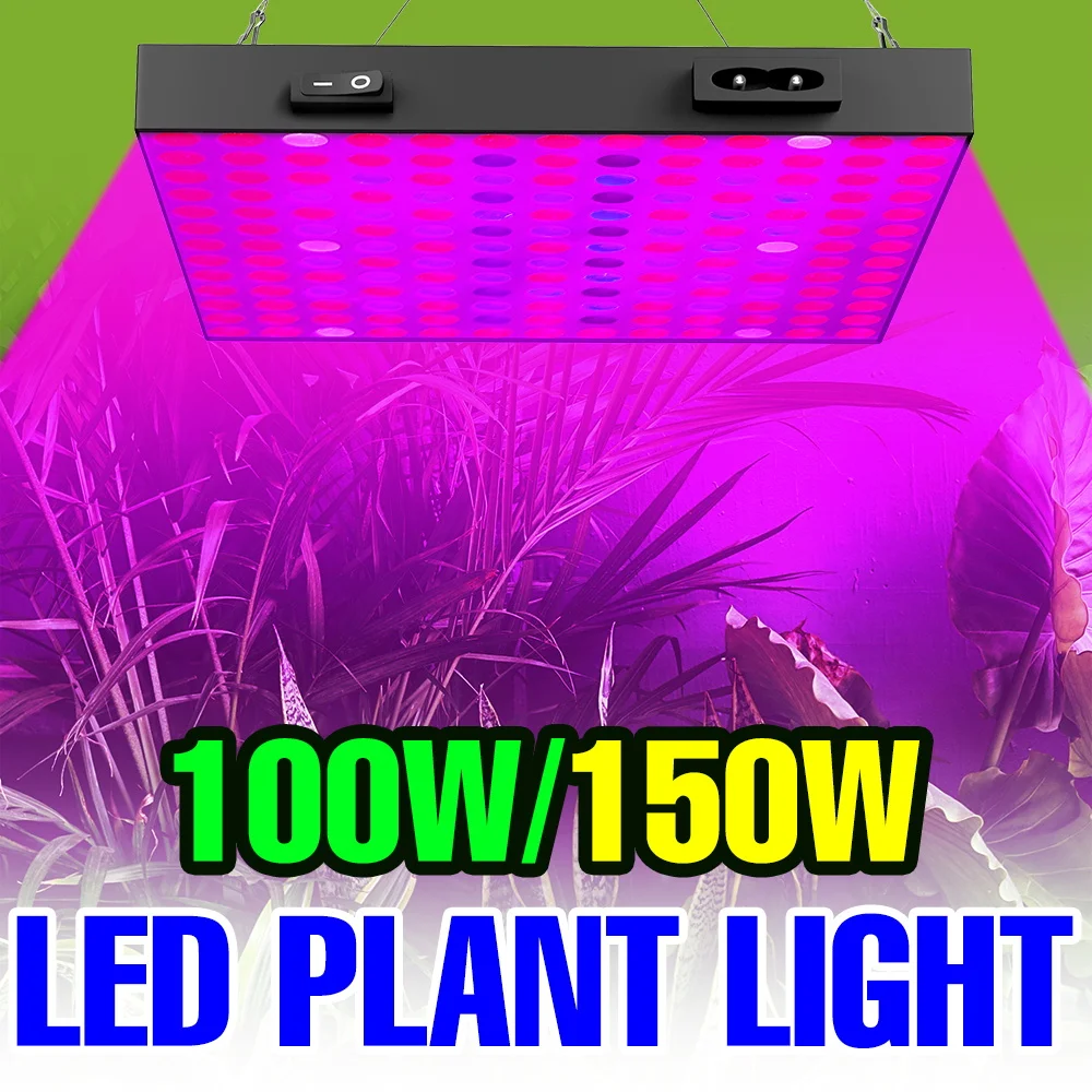

150W Full Spectrum Grow Lights LED Quantum Board Planting Fill Lamp Indoor Greenhouse Tent Vegs Hydroponic Cultivation Lighting