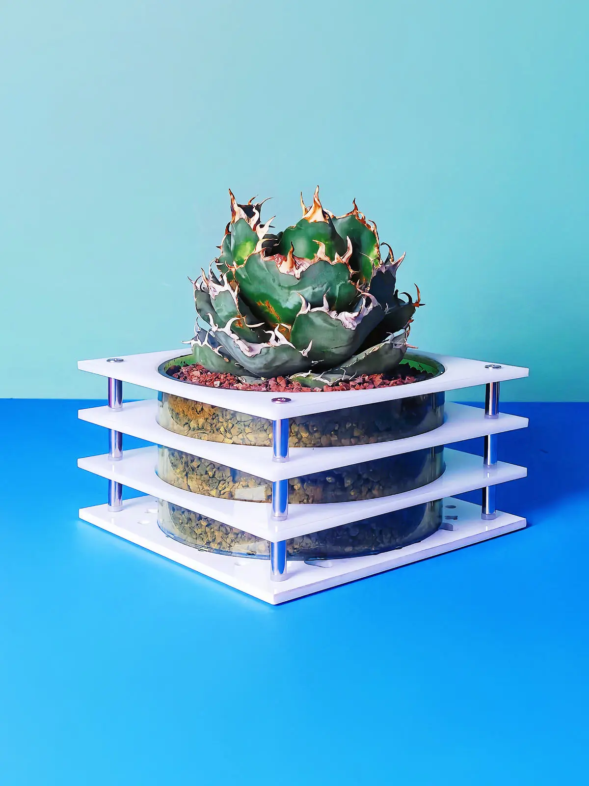 Acrylic Hoya Layered Desktop Mini Planter Pot Self Watering Clear Design for Terrarium Bog Plants Ferns Hanging for Home Balcony