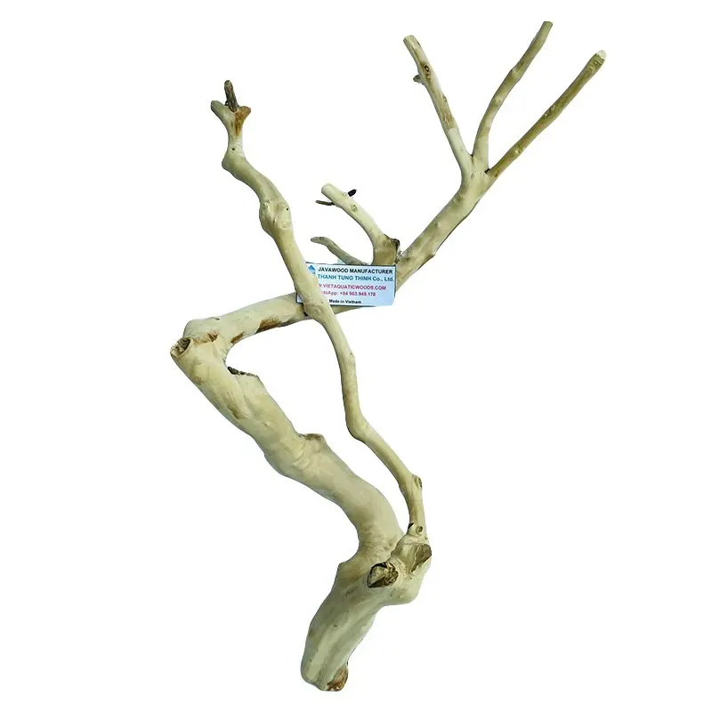 

2023 Hot Items Good Natural Java Wood Bird Perch Coffee Wood Bird Perch From Vietnamese