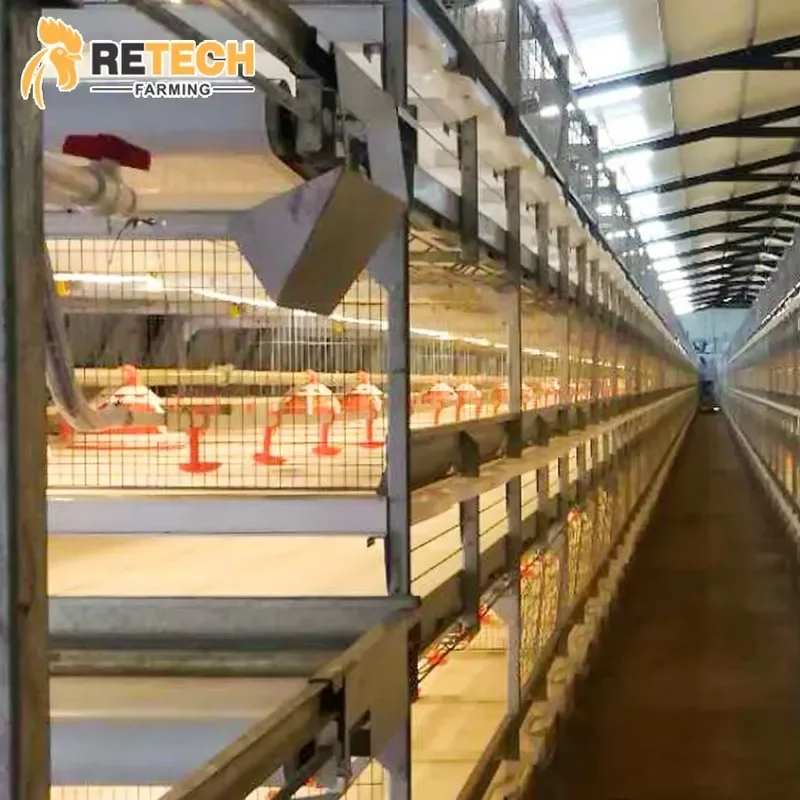 

5 Tiers Automatic H Type Battery Broiler Poultry Chicken Cages for 50000 Birds