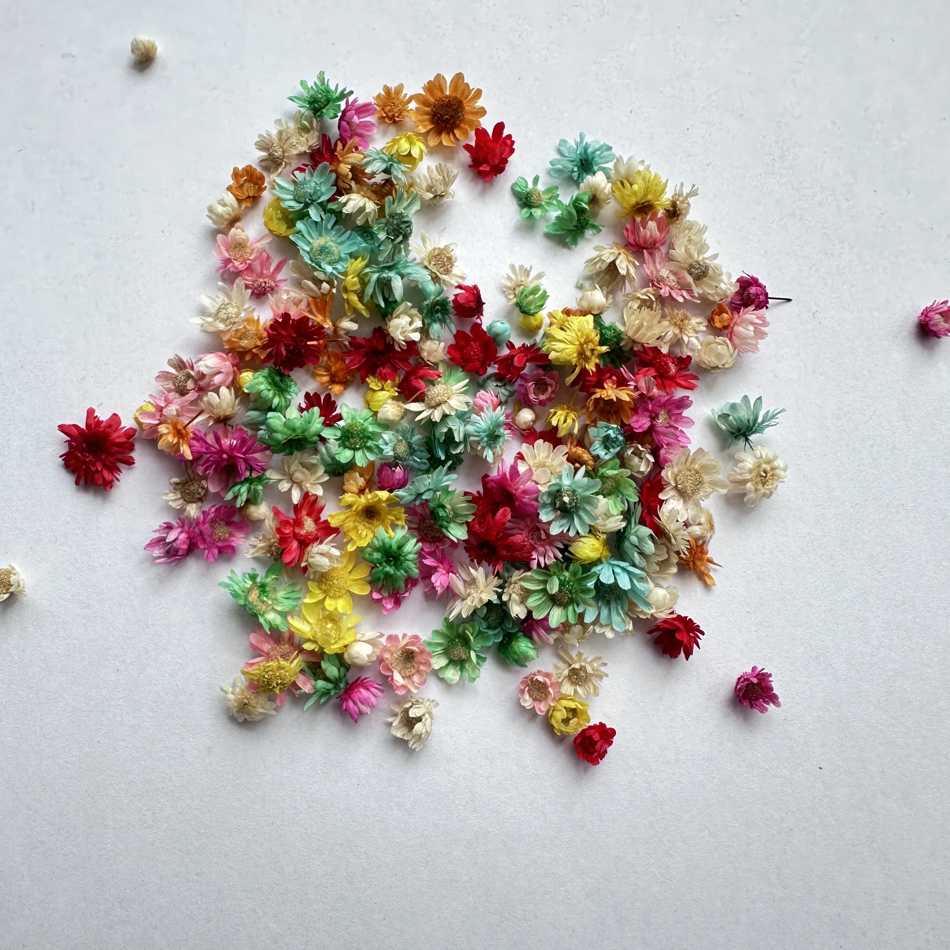 زهرة اصطناعية مجففة زهرة نجمة صغيرة لتقوم بها بنفسك الحرفية راتنجات الايبوكسي شمعة مسمار الفن راتنجات الايبوكسي ملء صنع المجوهرات المواد