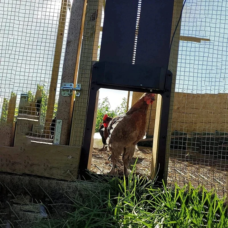 Puerta automática para gallinero, sensible a la luz, alta calidad y práctica