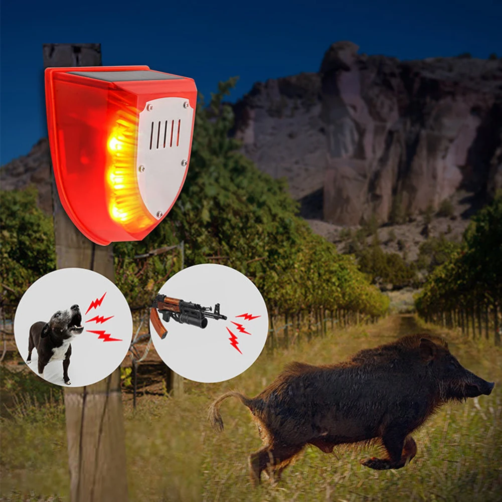 Laute Solar-Blitzleuchte mit B – Home Security Yard Sensors Bewertung und Preis