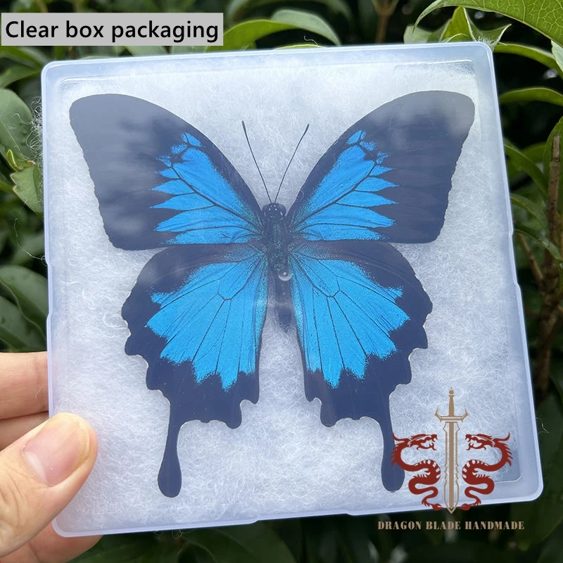 Butterfly ornament, Decorative Display Collection Gifts