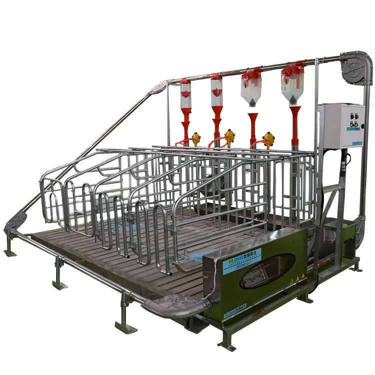 Piggery farming equipment / sow gestation cage for sale