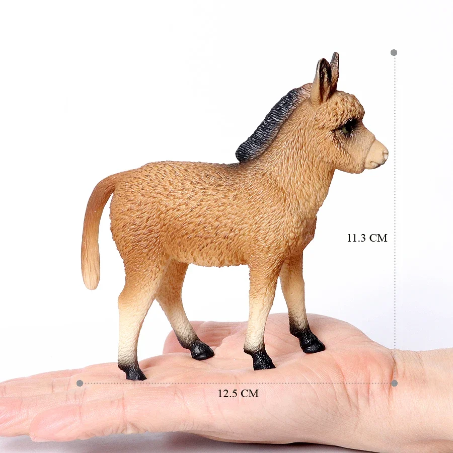 Donkey 5