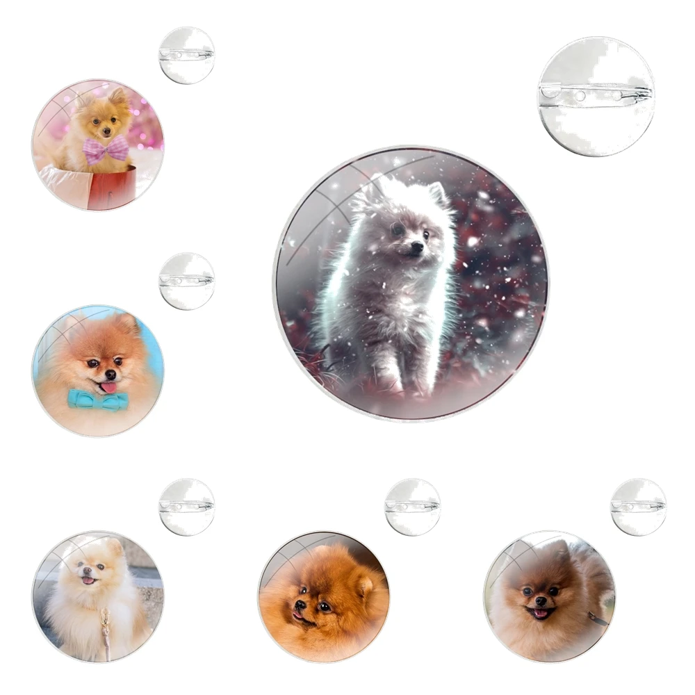 Glass Dome Brooches Shirt Lapel Bag Cute Badge Pins For Clothes Hat Accessories Pomeranian dogs