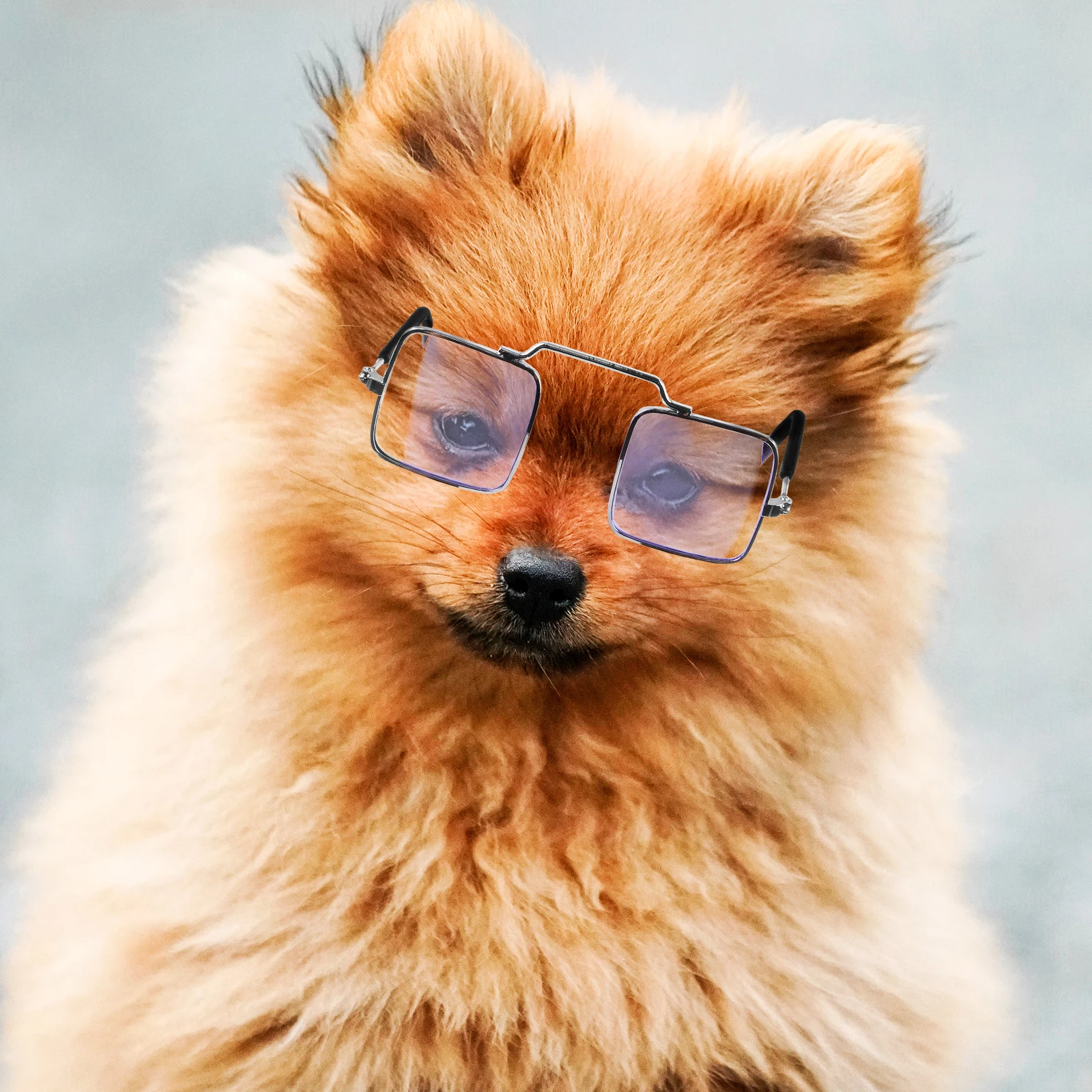 

5pcs Funny Spoof Glasses For Cat Dog Pet Party Decor Lightweight Resin Plastic Accessory Creative Animal Costume Props