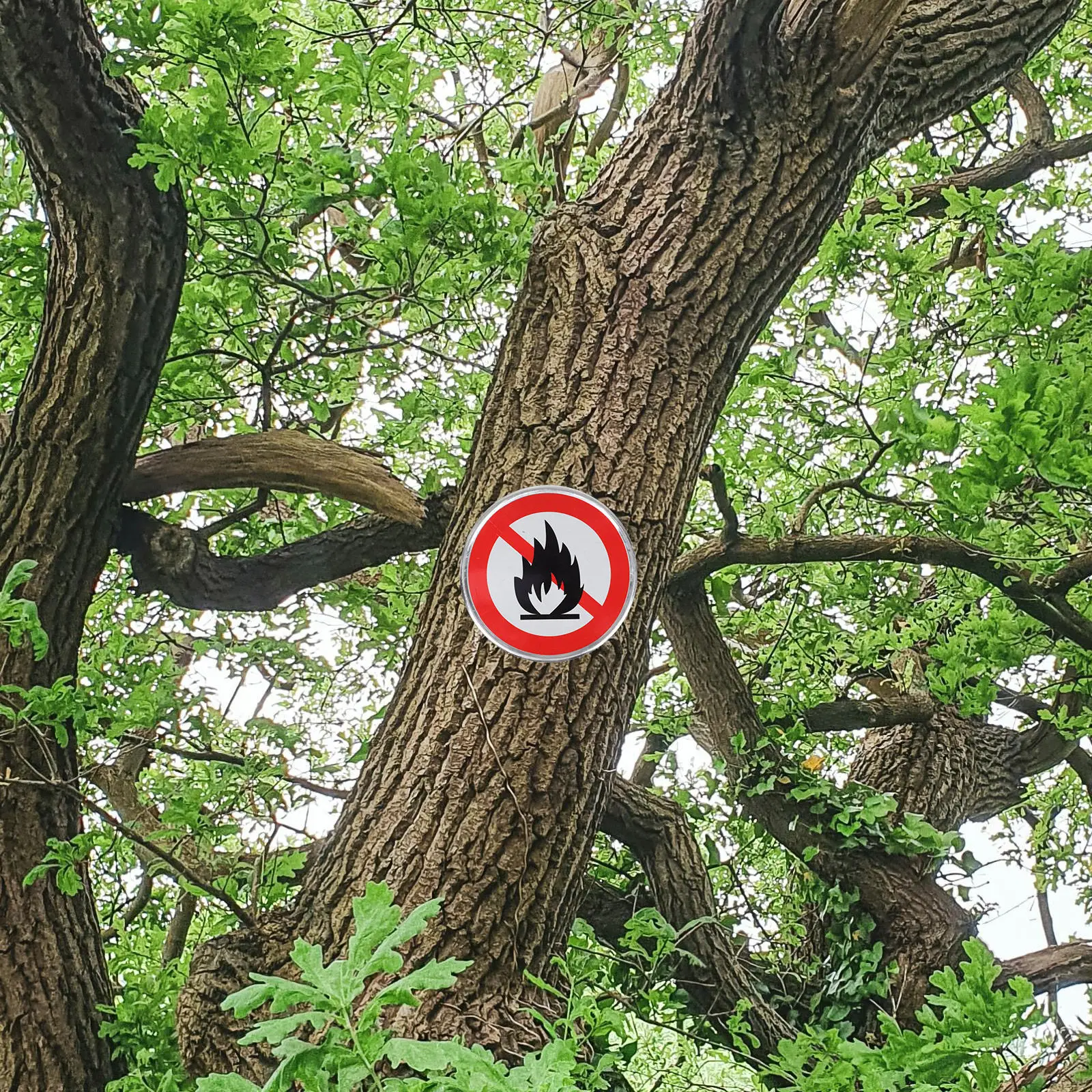 

Aluminum No Open Burning Sign High Visibility Fire Safety Warning Sign for Forests Campgrounds Trails Fire Hazard Prevention