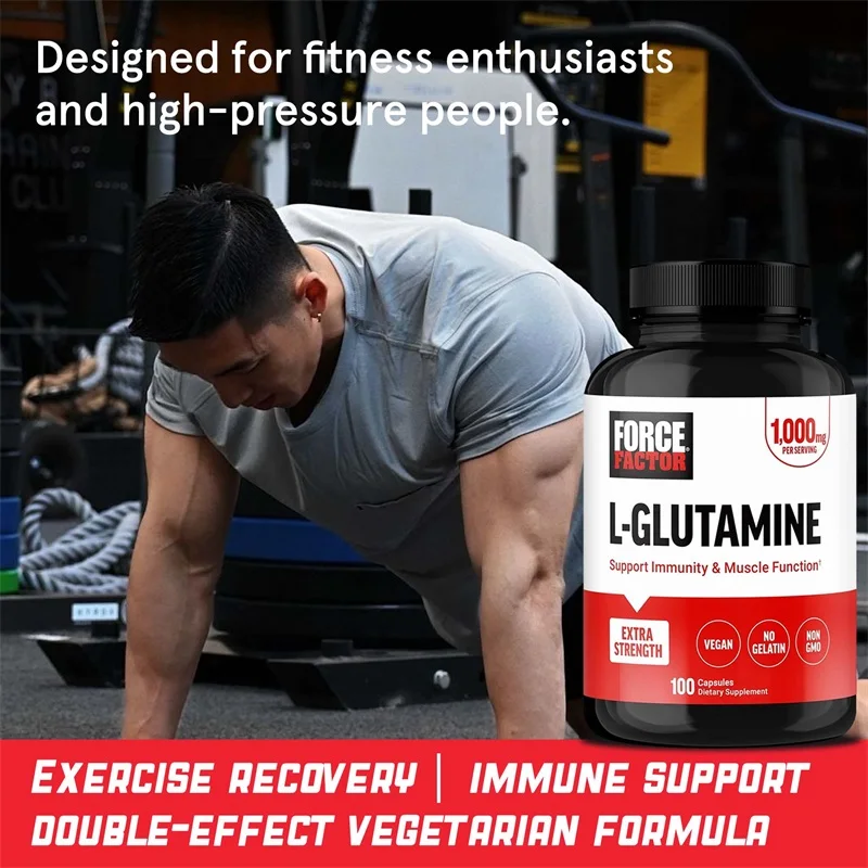 L-Glutamine Supplement - Muscle Recovery, Fatigue Relief, Improved Digestive Health, and Enhanced Immunity