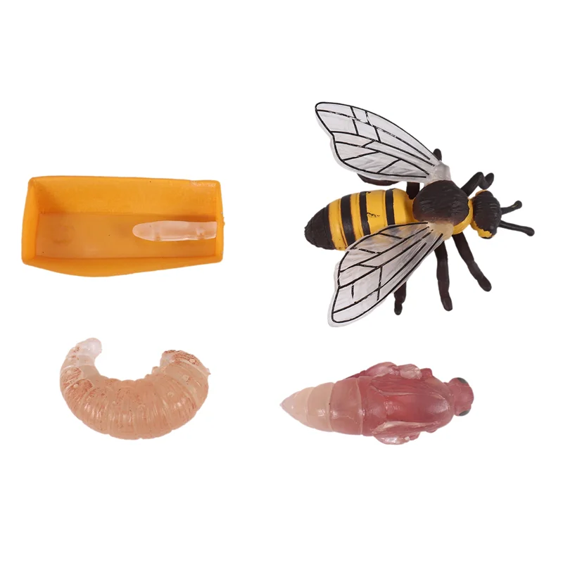 WOWFU-Pack Of 4 Insect Figurines Life Cycle Of Honey Bee Realistic Insects Figures  Educational Science Model