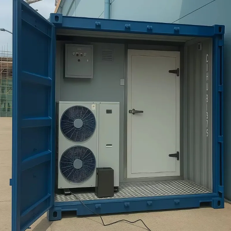 20ft Cold Room Remote Control for Fruit Vegetable Storage Commercial Preservation Equipment Custom