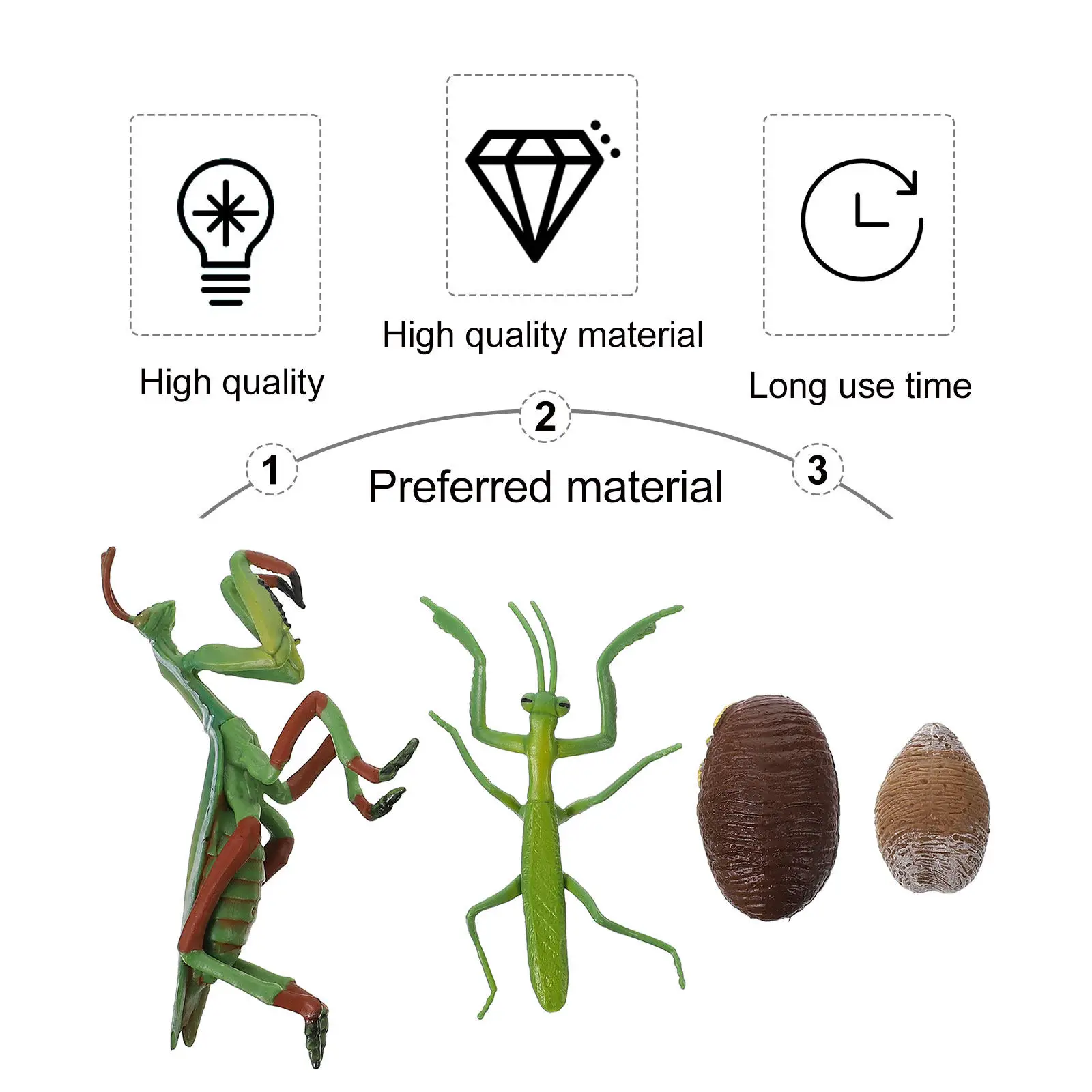1Set Mantis Life Cycle Educational Early Prop Realistic Insect Growth Cycle Figure for Kids Interactive Learning Storytelling