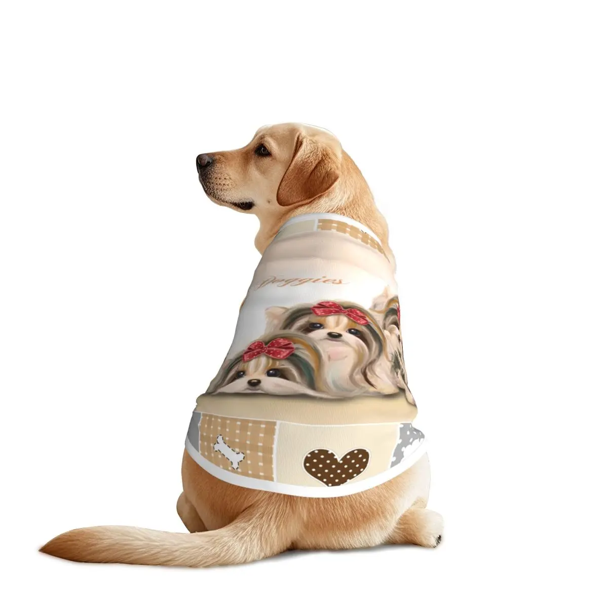 Ropa personalizada para perros Biewer, chalecos transpirables suaves para perros Yorkshire Terrier, chaqueta grande para perros, accesorios para mascotas