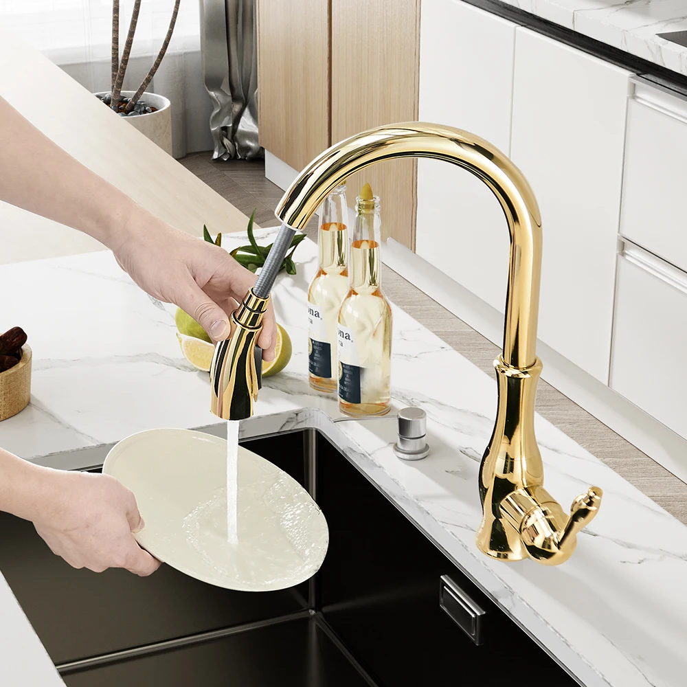 

Black Kitchen Faucets Pull Out Kitchen Sink Mixer Tap Single Lever Water Mixer Tap Crane For Kitchen 360 Rotation Mixer 866011