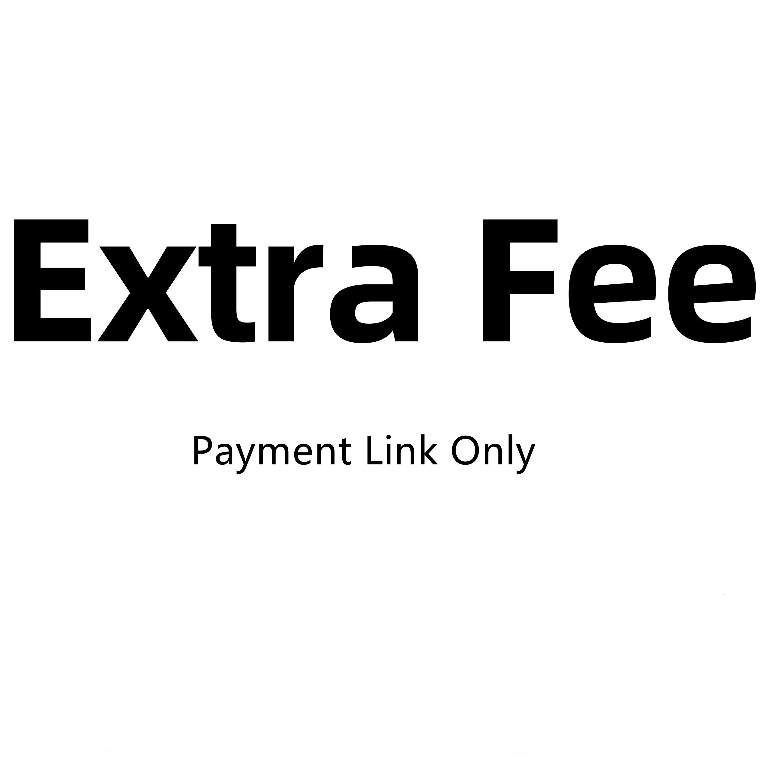 Extra Fee Payment Link Only