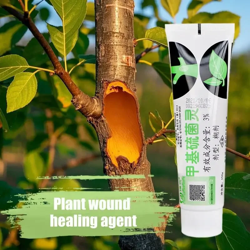 Tree Sealer Wound Tree Wound Repair Quick Agent Recovery Bonsai Care Supplies for Roses Shrubs Coniferous and Tropical Varieties