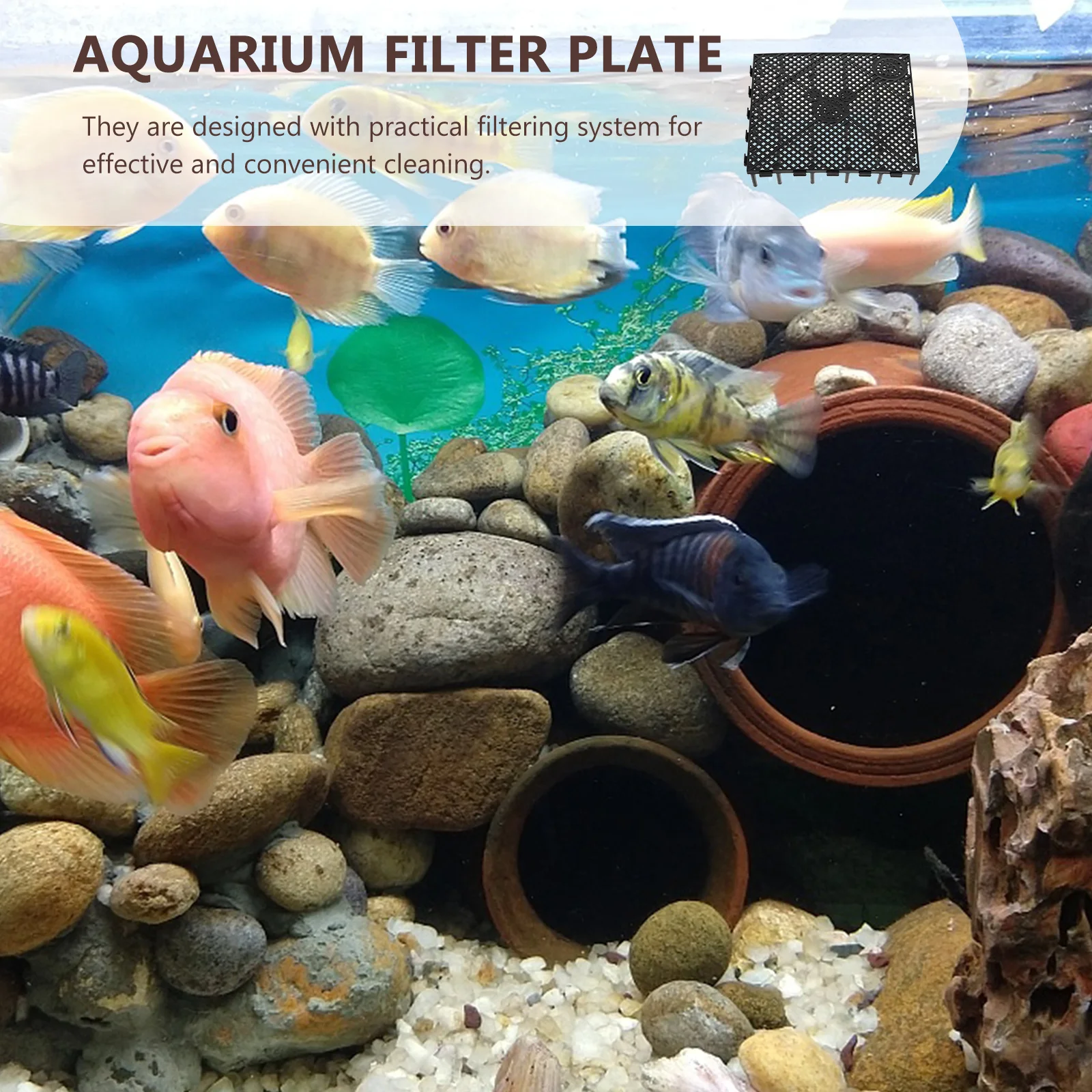 

6Pcs Bottom Filter Plate Aquarium Divider Multi-Hole Wear-Resistant Fish Tank Gravel Filter Board Aquarium Divider