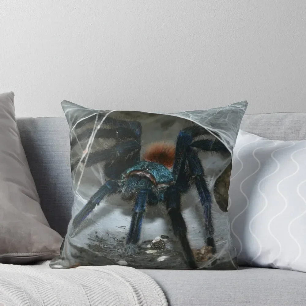 Greenbottle blue Tarantula (Chromatopelma cyaneopubescens) from ranforest in Venezuela. Throw Pillow Sitting Cushion pillow