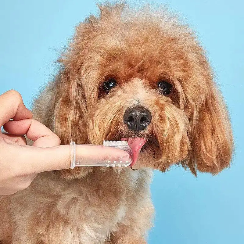 

Силиконовые зубные щетки-напальчники для животных - набор для ухода за зубами собак и кошек, 5 шт., щетка-напальчник для чистки зубов