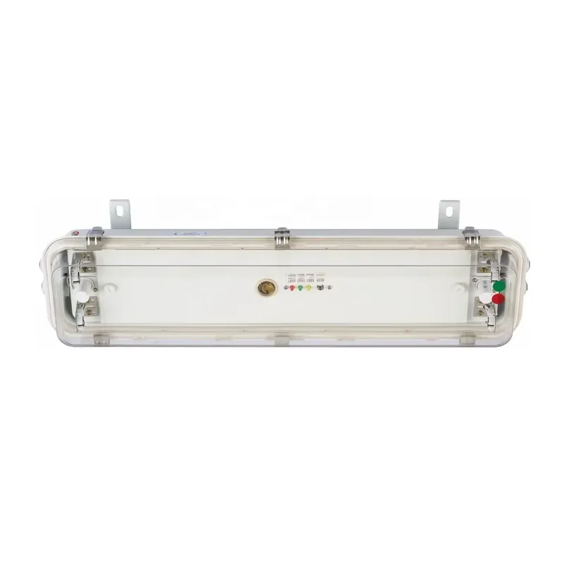 JCY202-2 JCY402-2 IP66 Waterproof Fluorescent Emergency Light 3 Hours Battery Backup Lamp with Bulb for Industrial Safety Use