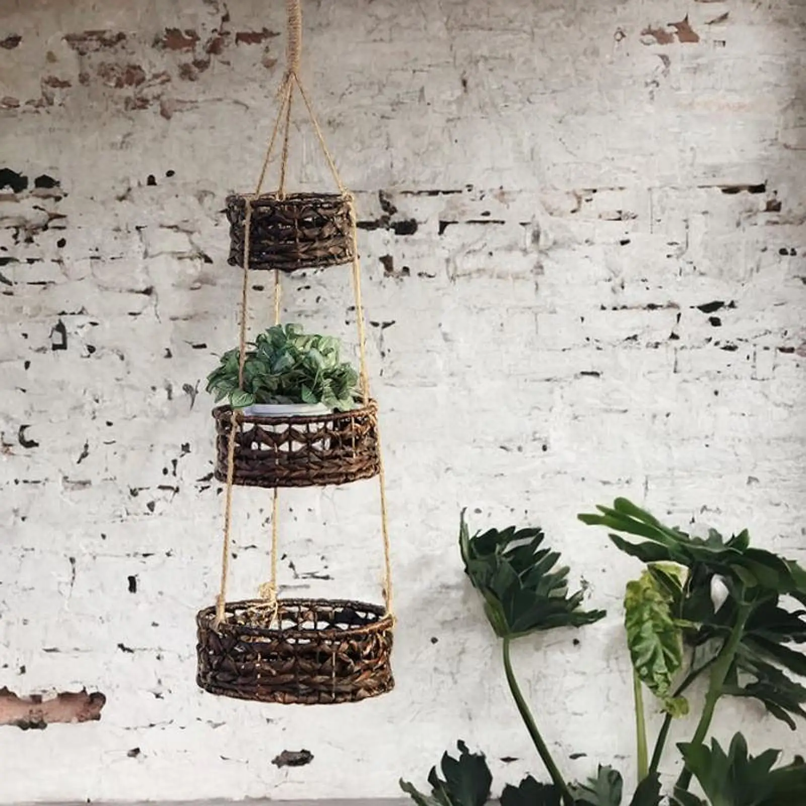 

Storage Hammock Hanging Fruit and Vegetable Basket for Onion Outdoor Kitchen