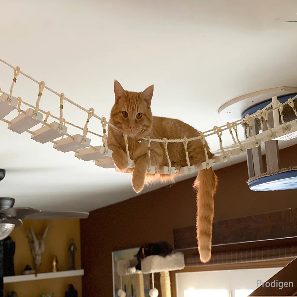 Wandmontage Cat Bridge Meerdere Kat Sisal Ladder Stap Scratcher Post Kat Klimrek Meubilair Kat Speelgoed Krasplank Bed