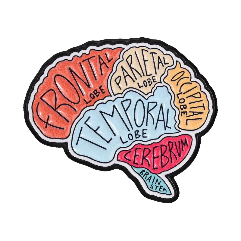 Human Brain Anatomy Cartoon Enamel Pin Frontal Lobe Cerebrum  Brain Stem Broochfor Med Students Neuroscience Lovers Jewelry Gift