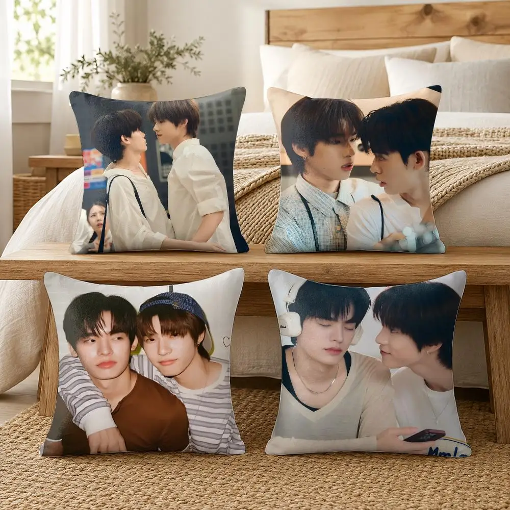 TV SERIES D-Duang With You BL Drama Cushion Cover Soft Short Plush Pillow Cases Hidden Zipper Cutecore Sofa Home Decor Gift