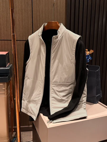 

Мужской элитный жилет на гусином пуху, легкий теплый воротник-стойка, однотонный, универсальный, зимний, новый, повседневный, нейлоновая ткань