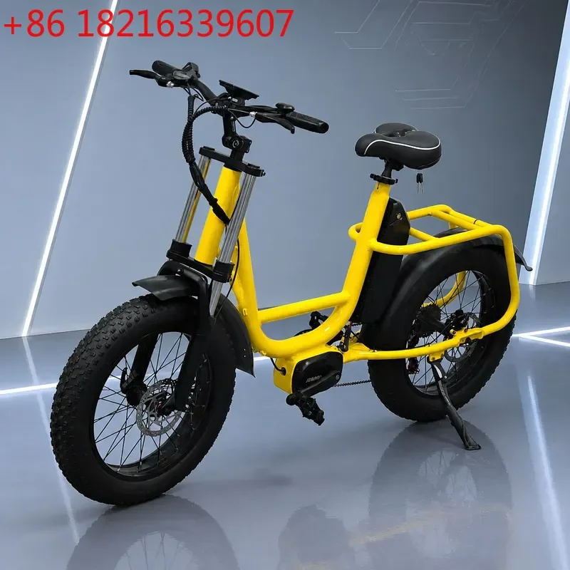 20 Inch Wide Tire Snow Electric Bicycle Electric Assist Bike