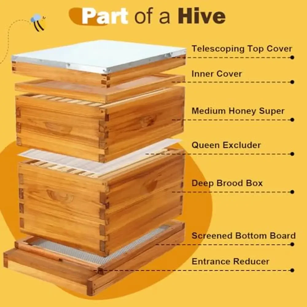 Beehive Starter Kit with Screened Bottom Board Durable Cedar Boxes Easy Assembly Langstroth Hive Kit Includes Frames Coated in