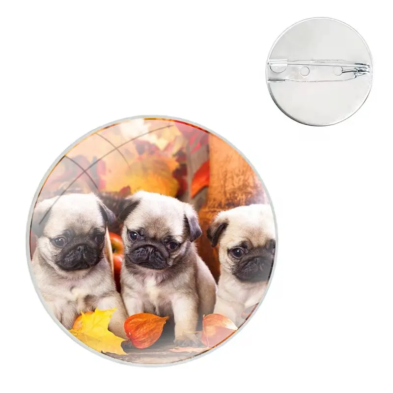 cute funny lovely pug dog Glass Dome Brooches Shirt Lapel Bag Cute Badge Pins For Clothes Hat Accessories