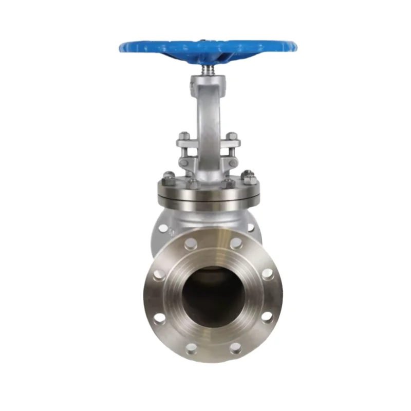 SS316 DN100 1 Inch Manual Electric Control Globe Valve Stainless Steel Nitric Acid Oil Shutoff Valves OEM For Gas Applications
