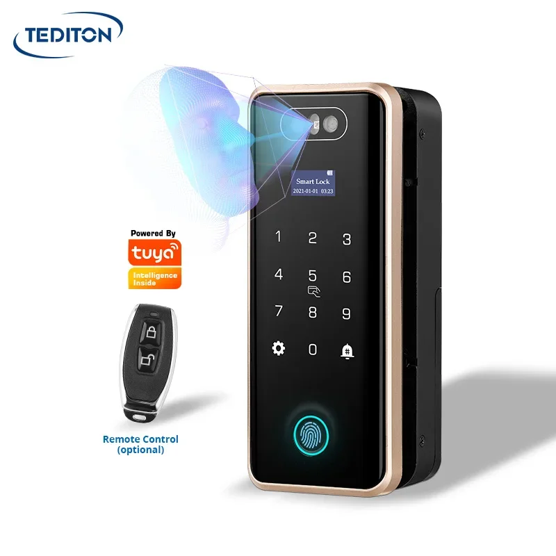 Tediton Security Touchscreen Remote Control Digital Password Face Recognition Fingerprint Glass Door Lock