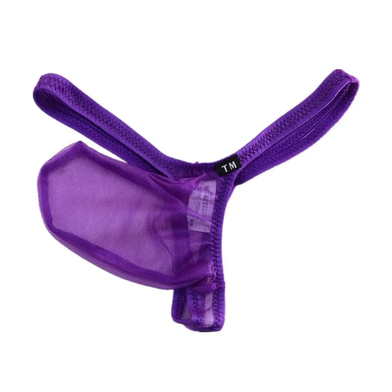 Men's Sheer Mesh Thong Sexy Elephant Trunk Large Pouch Low-rise Elastic Breathable T-back Underwear