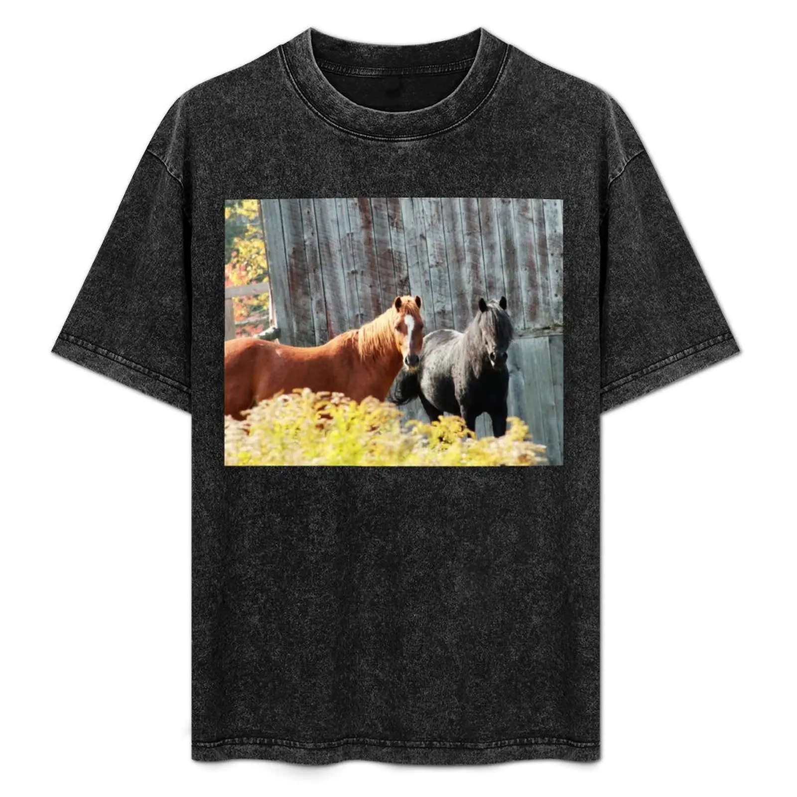 Goldenrod & Ponies by Carolanne Kennedy T-Shirt tops tees Men's t-shirt