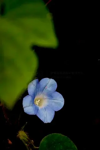 

4 шт. 1,9 RC Crawler 105 мм резиновые шины для 1:10 RC Rock Crawler Car Axial SCX10 W229 TRX4