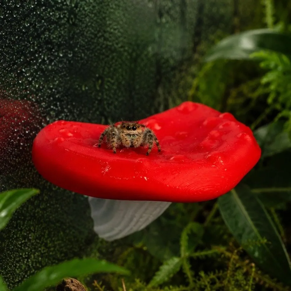 2PCS 3D Printed Jumping Spider Mushroom-shaped Platform Plastic Decorative Reptiles Avoid Caves Suction Cup Jumping Spider Ledge
