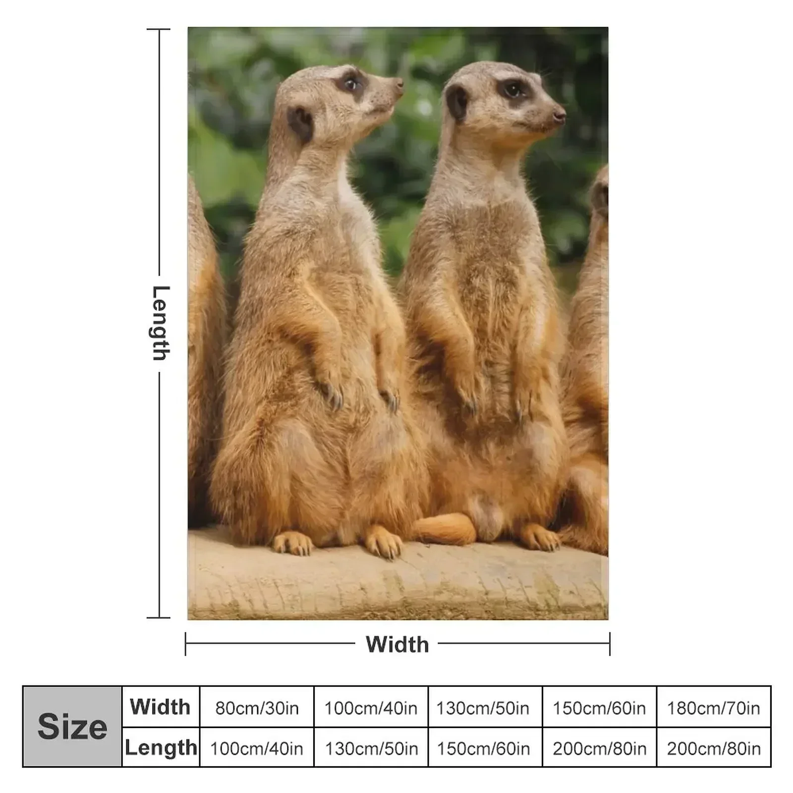 Meerkat 018 Throw Blanket couch cozy soft plush fuzzy picnic outdoor blanket