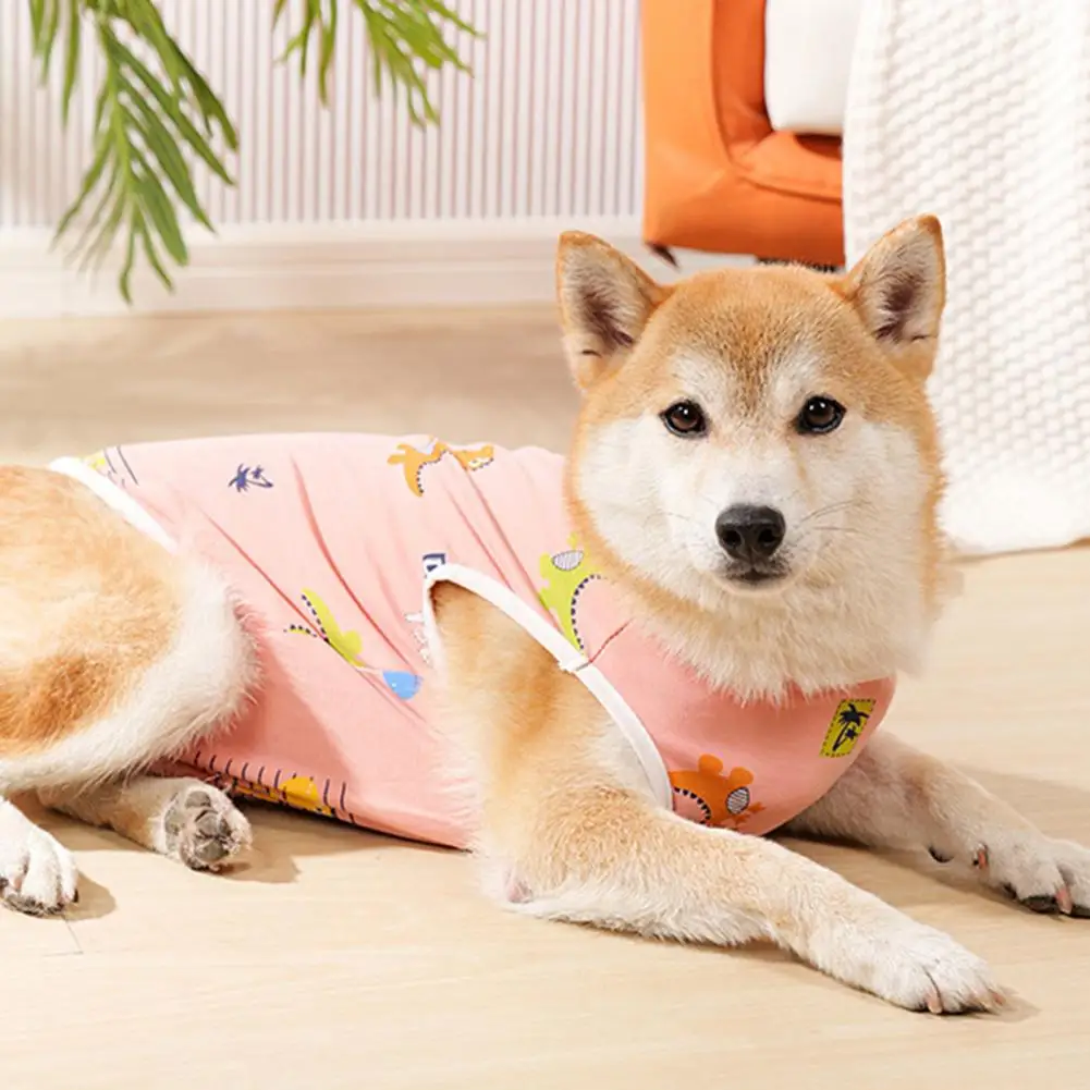 Dog Incontinence Underwear Washable Pet Menstrual Pants Absorbent Dog Diaper for Puppies Female Dogs Physiological Shorts