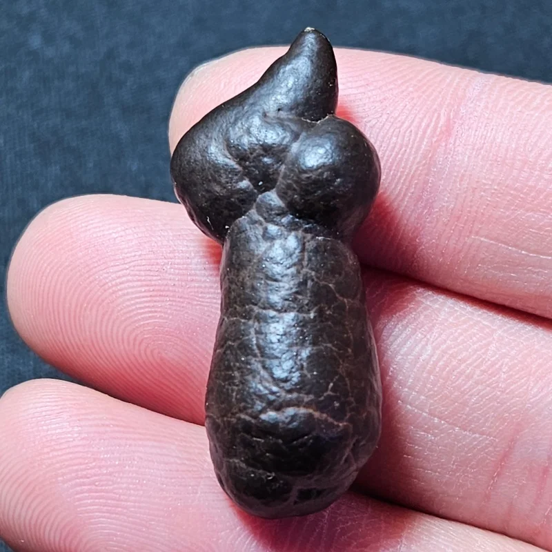 Natural BlackUnique Mushroom Shape Mineral Specimen Collectible Reiki Healing Energy Raw Stone Gift