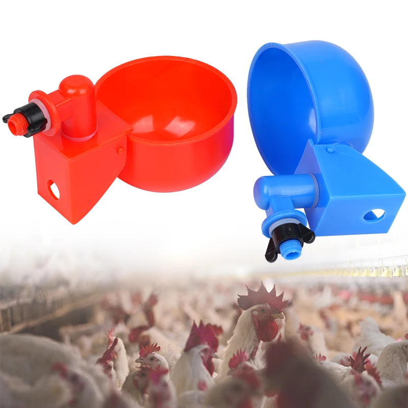 10Pcs Automatic Poultry Drinking Bowls Square Enlarged Thicken Drinking Bowl for Cat Dog Chicken Duck Thread Chicken Feeder Tool