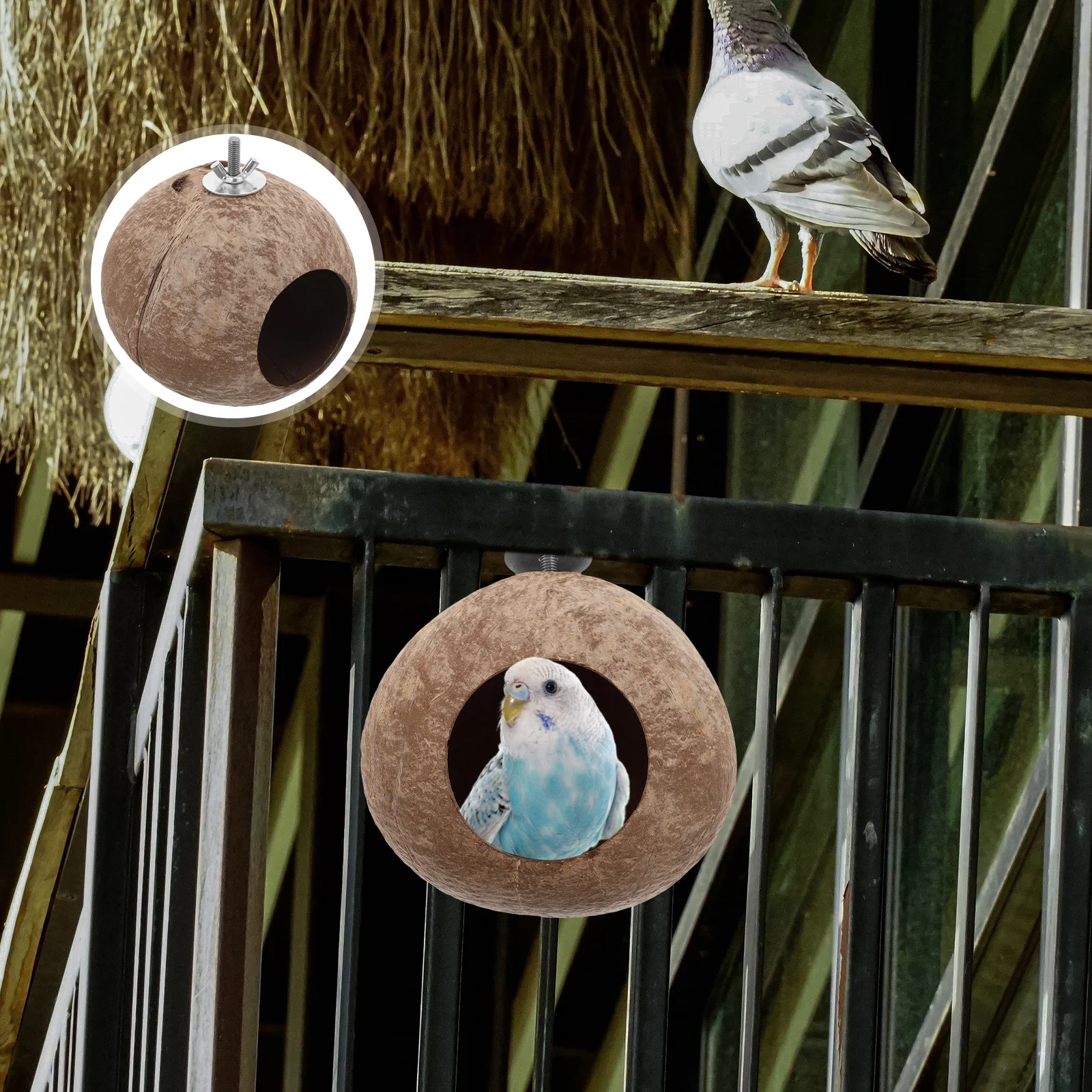 

Premium Coconut Shell Pet Birds Nest Natural Handmade Durable Hanging Sleeping Bed for Small Birds Canary Parrot