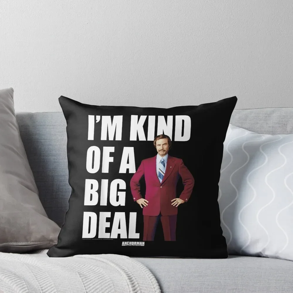 Anchorman Ron Burgundy Throw Pillow ornamental pillows for living room Sofa Cover pillow