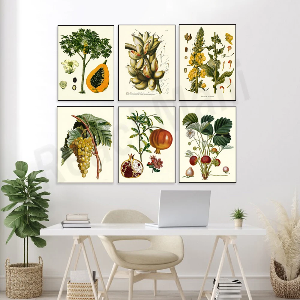Fruits: grapes, pomegranates, pears, oranges, tangerines, limes, papayas, bananas, palm trees, plant charts/kitchen posters