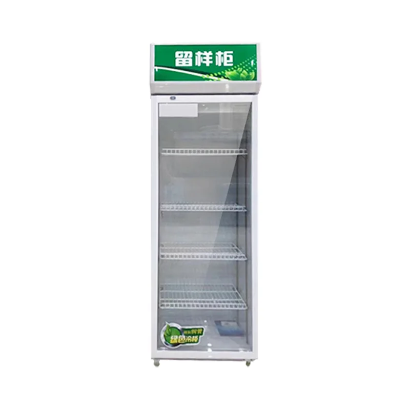 Commercial Refrigeration Display Cabinet School Canteen Food Sample Freezer Beverage Cooler Small Business Glass Door Display