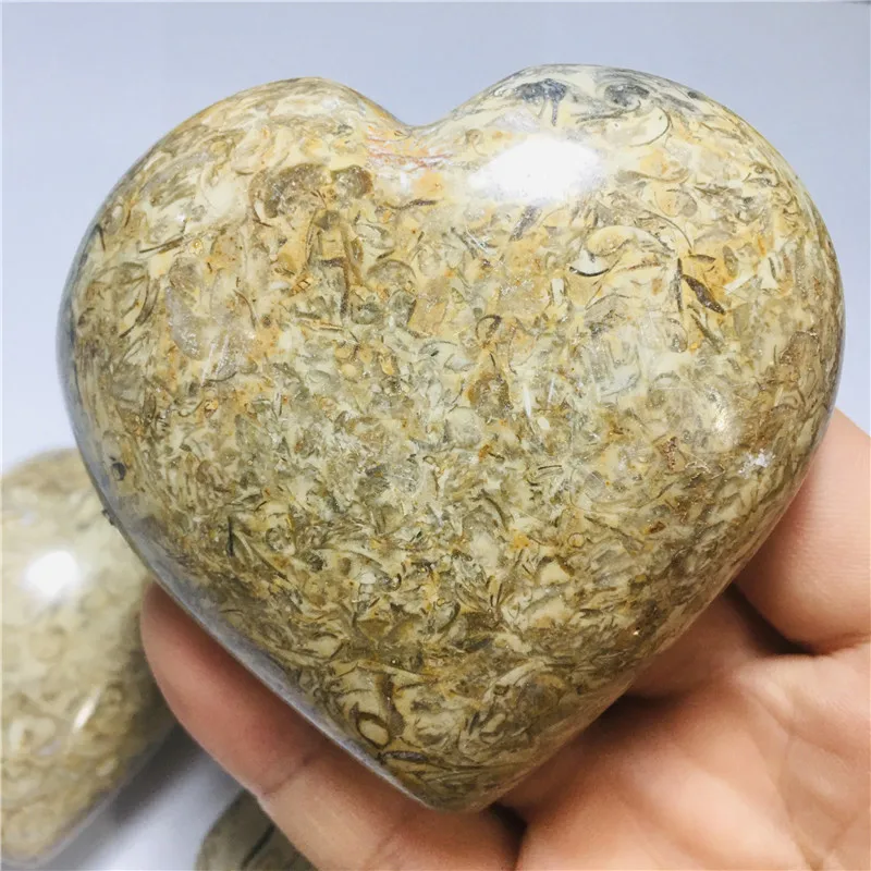 70mm Madagascar Dinosaur Bone  Crystal heart Sphere - Unique Geological Specimen for Collectors