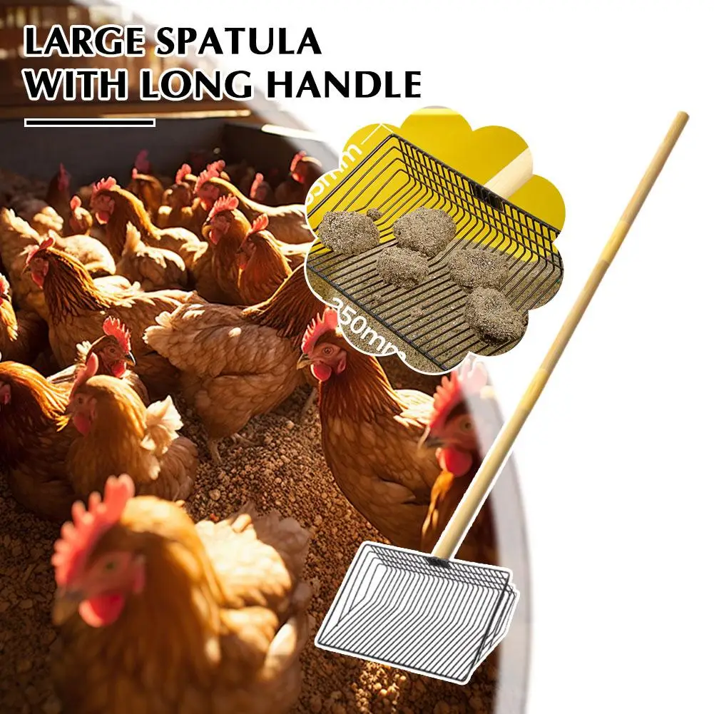 Large Metal Chicken Poop Scooper 3-in-1 Detachable Cleaning Handle Chicken Tool Tool 20 To Wooden Steel 42 Inches Coop Stai V9p1